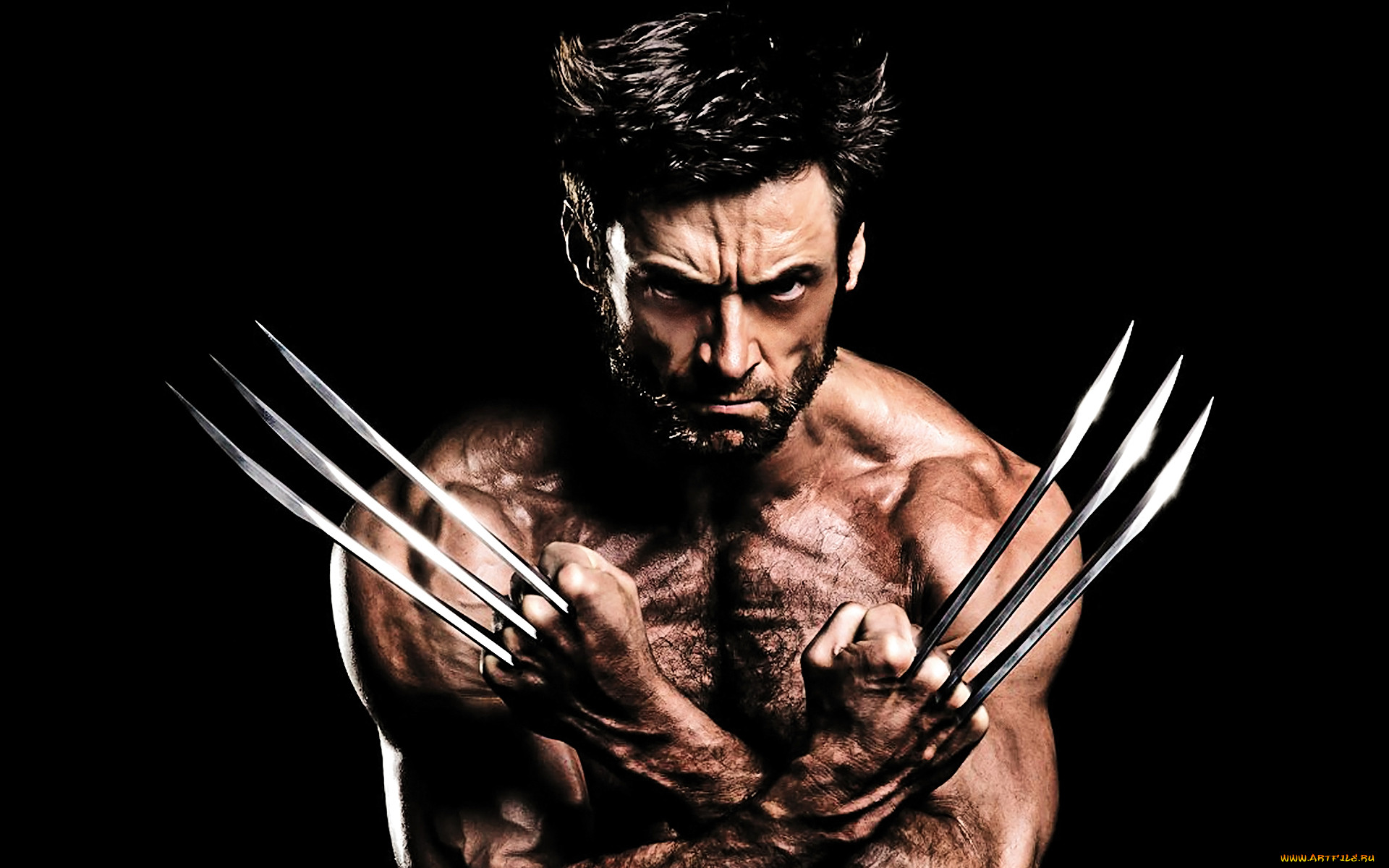 the, wolverine, , , 